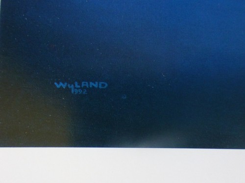 Wyland Studios GREAT WHITE shark 1992 vintage art print Nature Ocean sharks Art - Picture 3 of 3