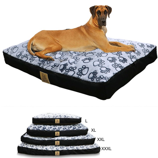 Carpenter Lee 30 By 40 Inch Orthopedic Pet Bed With 4 Inch Gusset Large Off Wh For Sale Online Ebay