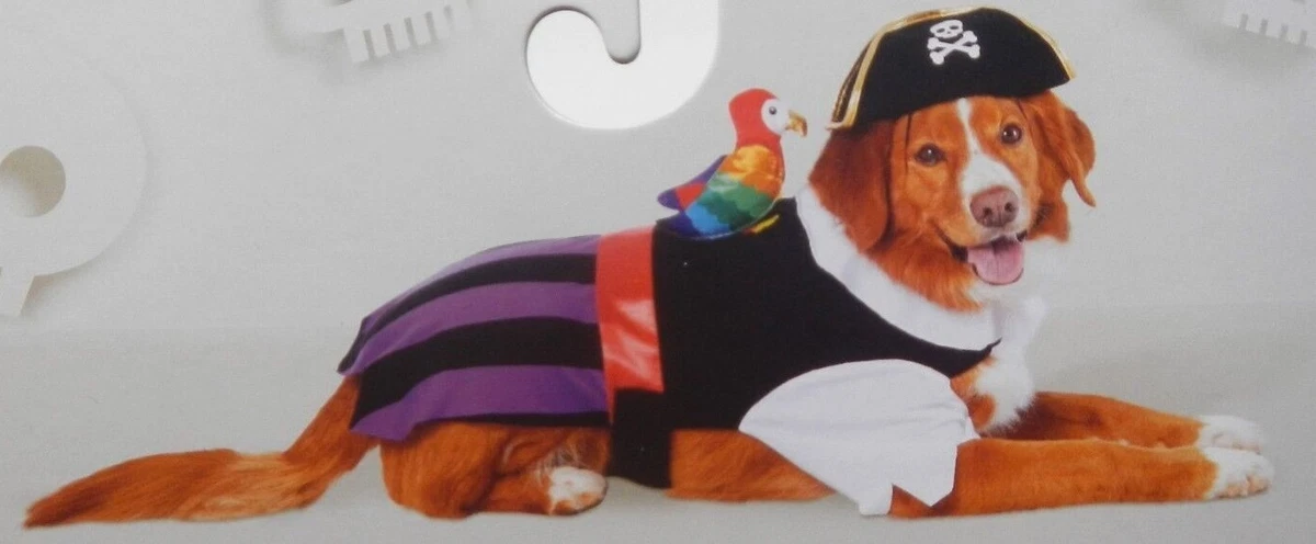 Pirate hat cheap for dogs