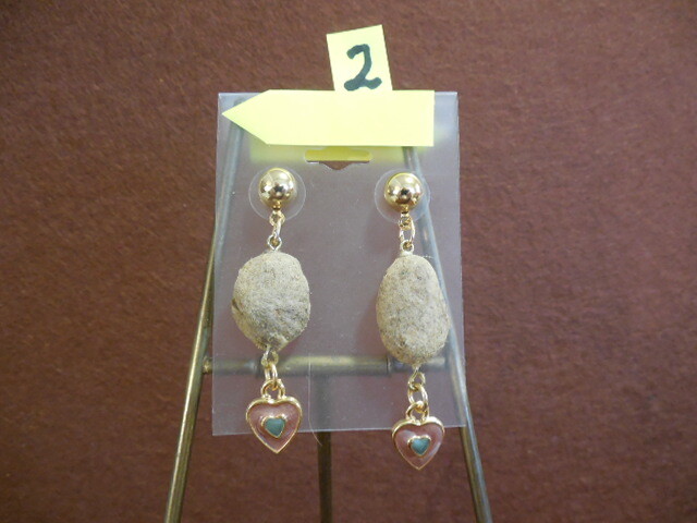 REAL ALLIGATOR "POOP'   EARRINGS, Gold Color Ear Posts, STERILIZED