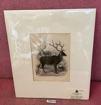 Orig. Hand Colored Stone Lithograph Drawn By Smit.Printed by Hanhart Circa 1890