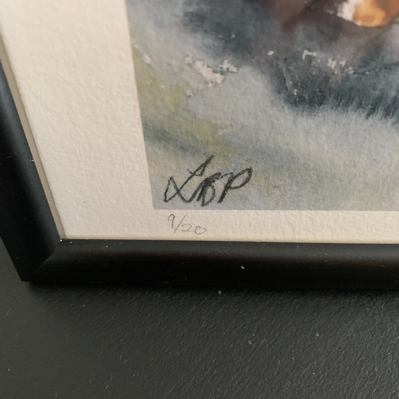 Picture 6 of 8