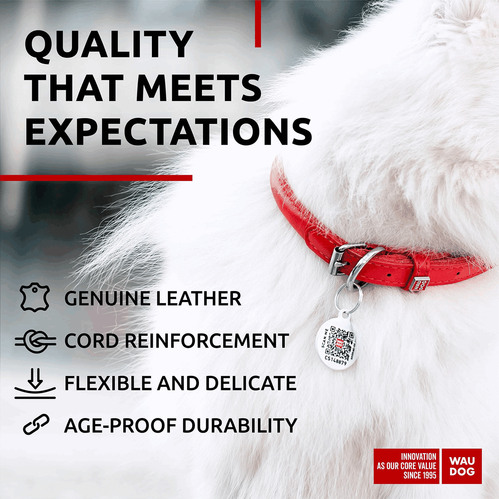 Red Ultra Soft Rolled Leather Dog Collar for XSmall Dogs 1013 inch Neck