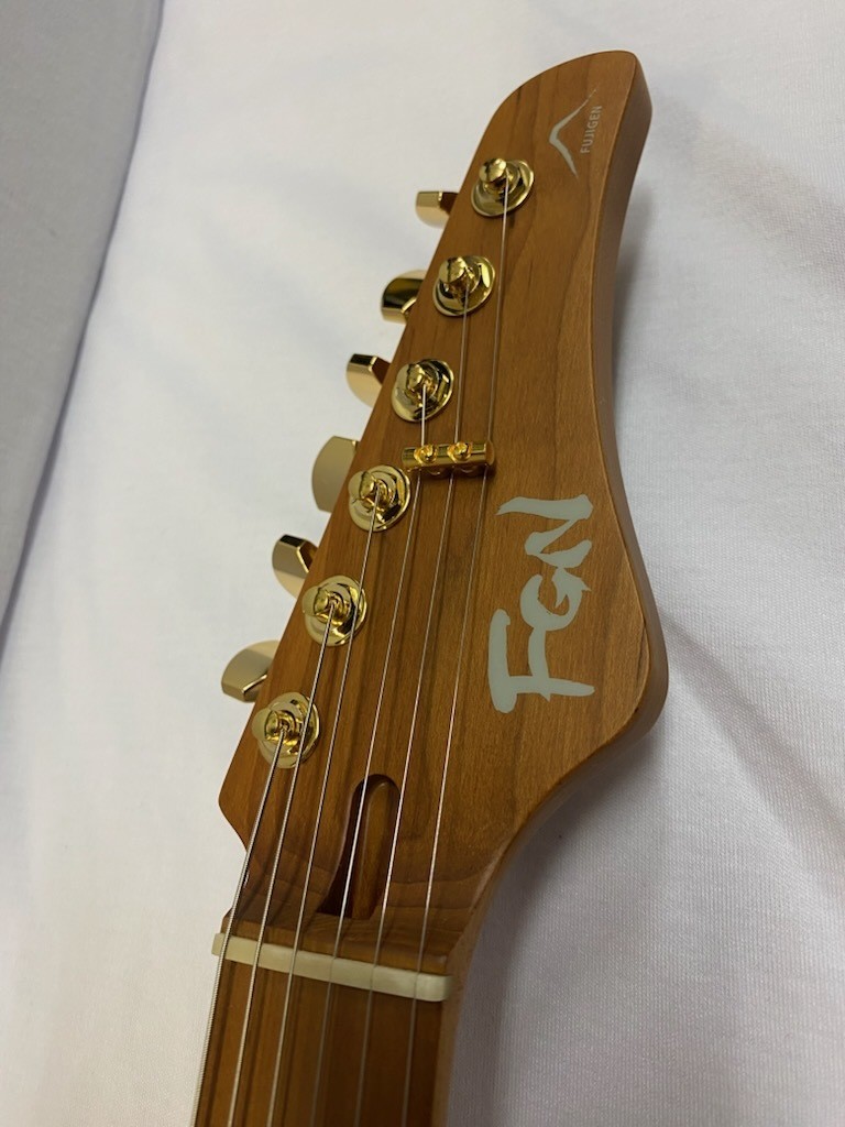 FUJIGEN FGN EIL-EW1-HS-RM HCB | eBay