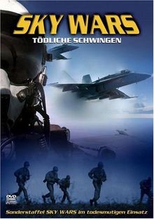 Sky Wars - Tödliche Schwingen von Ko Yung-Nam | DVD | Zustand gut