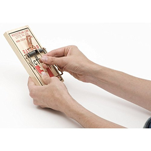 Victor Metal Pedal Rat Trap - M201 (Pack of 3) - Picture 6 of 8