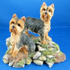 Sherratt & Simpson Dogs - Yorkshire Terriers on Rocks