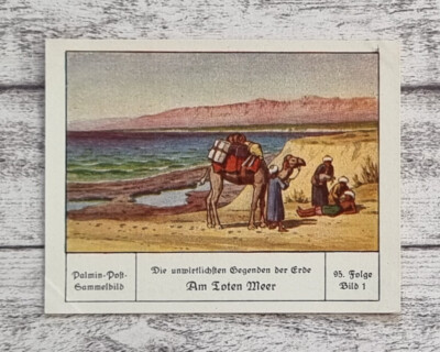 Totes Meer Gegenden Erde Kamel Palmin Sammelbild 95 Reklame Vintage Werbung Deko