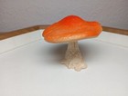 Foto 2 di 6