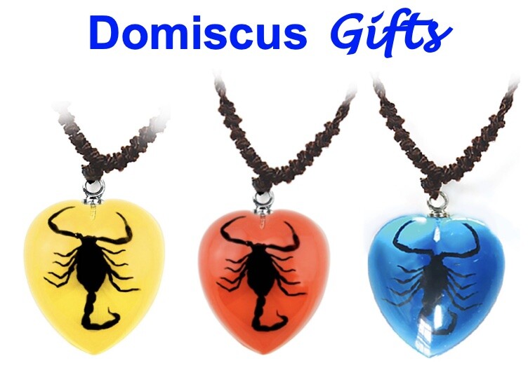 NEW! Real Insect BLACK SCORPION Heart Shaped Pendant NECKLACE Fashion  Jewelry