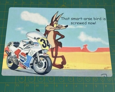 The Road Runner Coyote, Suzuki Kevin Schwantz Road Racer, Moto Gp Blechschild