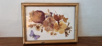 Gepresste Trockenblumen Sträuße Schmetterling Vintage Retro Rahmen Wandbild Vergoldet Gold