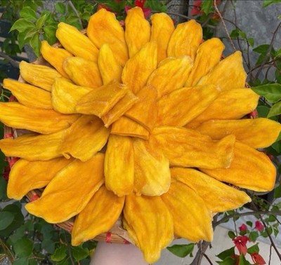 300gram Soft Dried Mango Low Sugar Sweet & Chewy Tropical Fruit Snack