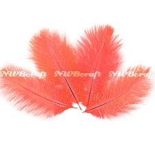 10pcs 15-20cm Natural Genuine Ostrich Feather Fluffy Costume Craft Party Decor
