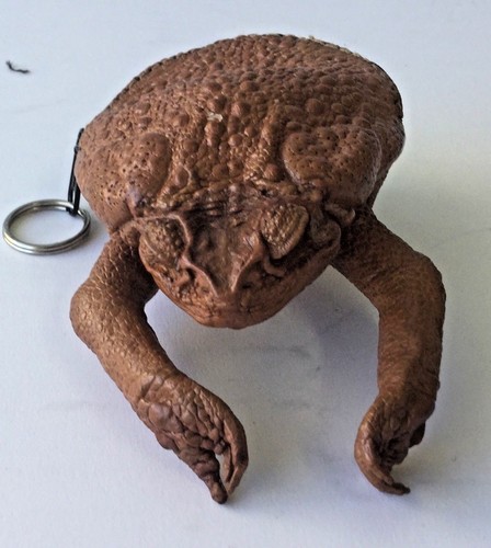 Stunning Cane Toad Skin full body Zip Up Coin Purse Australian made Rare Exotic - Picture 3 of 11