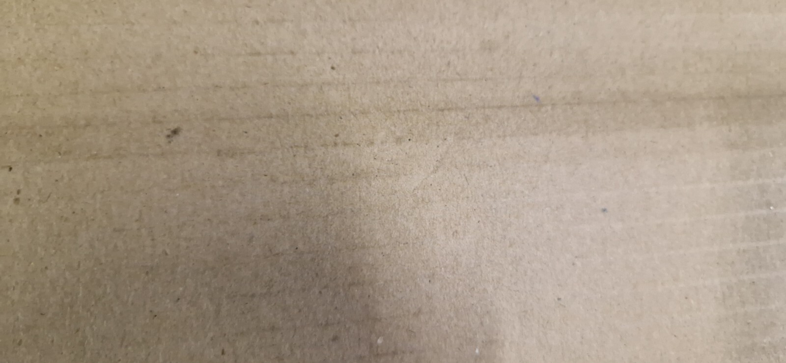 Picture 6 of 6