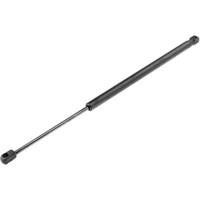 NTY Gasfeder Heckklappe Passend FüR Renault ScéNic II JM0/1_ 1.6 16V