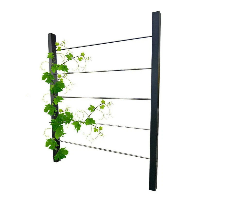 Rankhilfe METALL Rankgitter ★★★★ Weinrebe Himbeeren Sichtschutz Terrasse Spalier - Bild 2 von 4