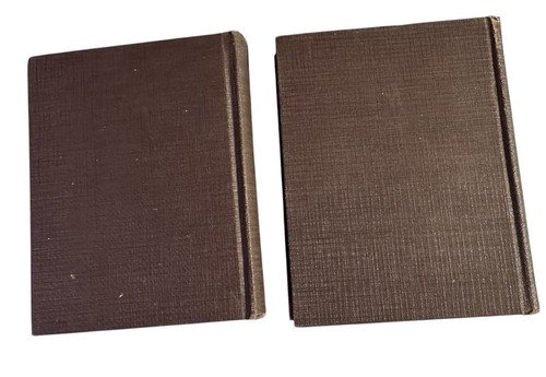 Antique 1911 Books Charles Dickens David Copperfield Volumes I & II Library - Bild 2 von 12