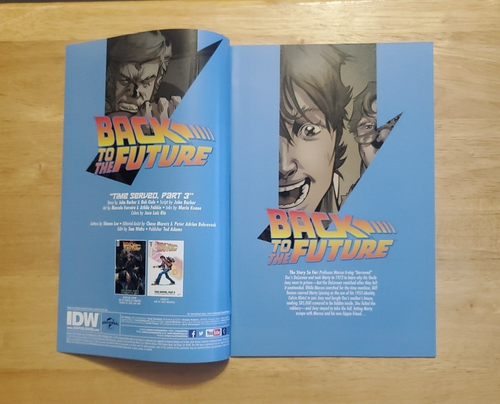 Regreso al Futuro #24 Artículo de Coleccionista IDW Publications 2017 - Imagen 2 de 10