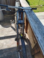 eBay Auction Picture
