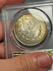 (#103045) Morgan Dollar: 1921 PCGS MS 64  Frosty! reverse toning!   (see video!) — photo 5