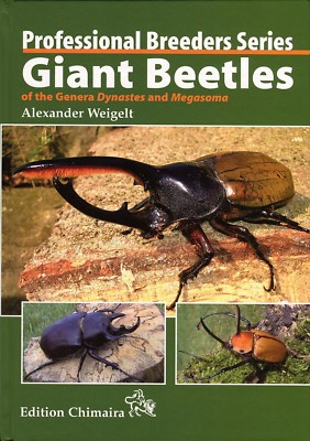 Giant Beetles of the Genera Dynastes and Megasoma.