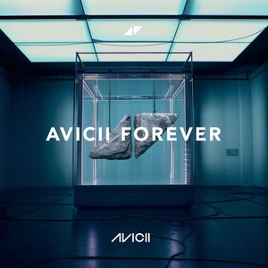 Avicii Levels Vinyl | eBay