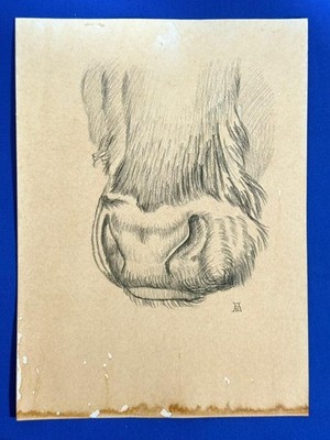 Alberto Durero (Handmade) Drawing on antique paper Signed and Sealed.