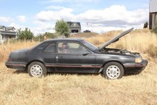 1987 Ford Thunderbird for Sale