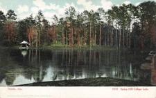 c1905 Spring Hill College Lake Mobile Alabama  AL P568
