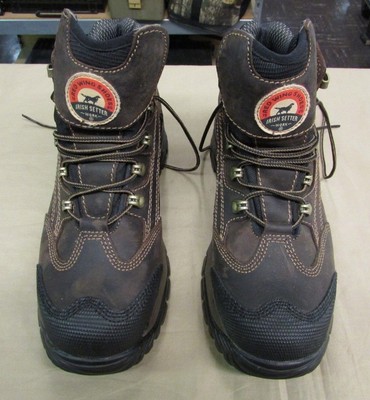 irish setter 83402
