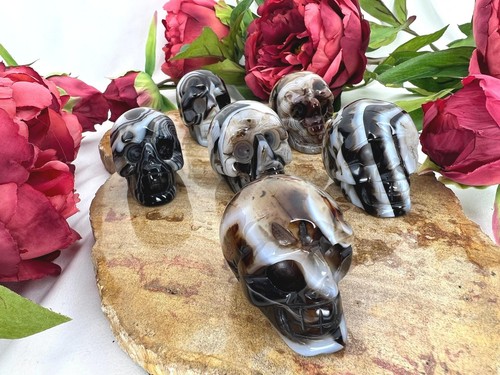 Sardonyx skull - 2" sardonyx crystal skull - natural black sardonyx gemstone - Picture 9 of 10