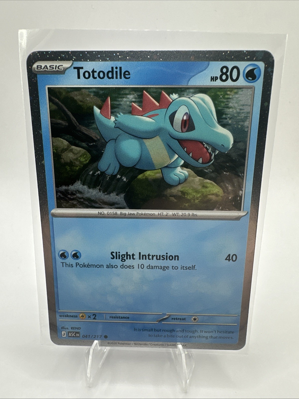 Totodile 41/217 Ascended Heroes Cosmos Holo NM Pokemon TCG