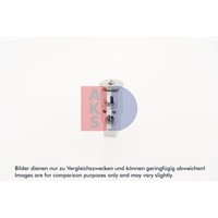 Expansionsventil Klimaanlage AKS Dasis 840273N FüR CitroëN Peugeot Renault