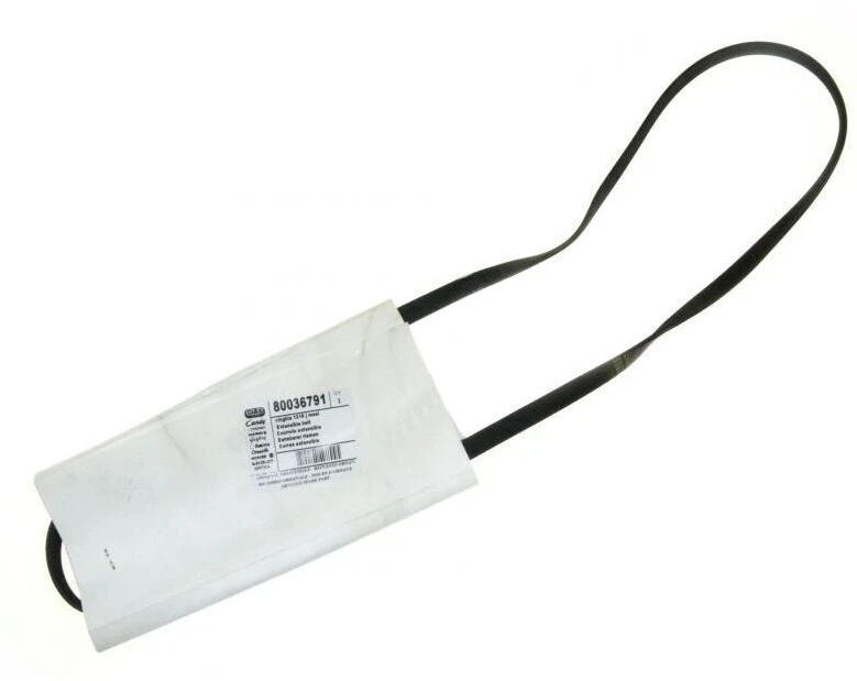 Cinturón elástico para lavadora Candy Hoover Zerowatt piezas 1218 J5 Lbcta CTS81 Foto 2 de 2