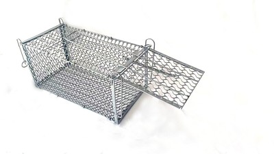 Humane Rat Live Trap for Rabbits Cat Squirrel 1 Door Rodent Control Catch Cage
