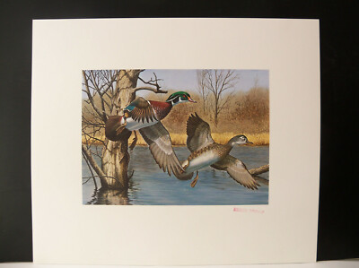 1983 New Hampshire Duck Stamp Print Press Proof by Richard Plasschaert