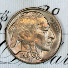 * 1929-P * NEAR+ GEM BU MS BUFFALO NICKEL * FROM ORIGINAL COLLECTION