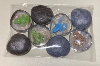 Bandai Gashapon Figur Encyclopedia of Living Creatures Tree Frog Complete Set