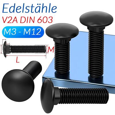 Schlossschrauben Flachrundkopfschrauben M3 M4 M5 M6 - M12 Edelstahl V2A DIN 603