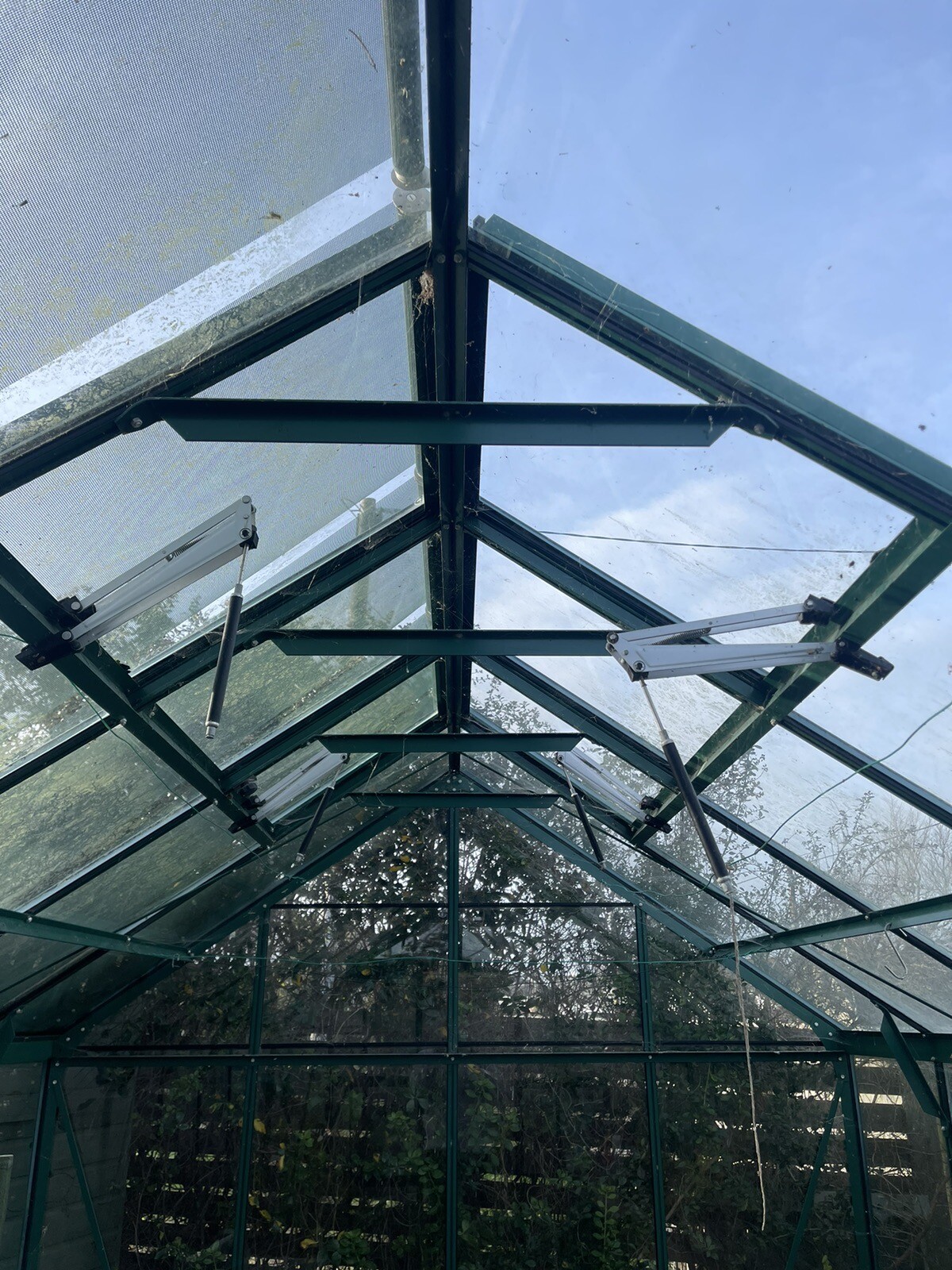 rhino greenhouse used eBay