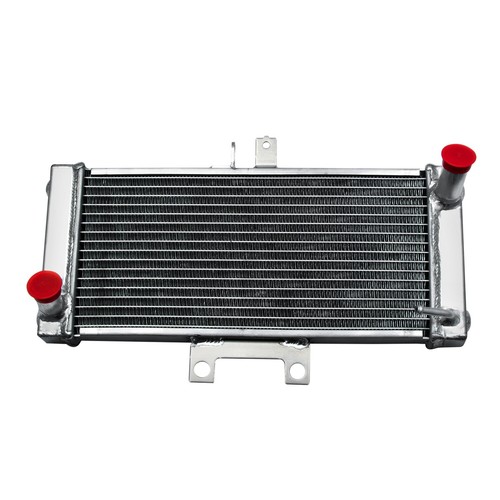MOTORCYCLE RADIATOR Fit 2007-2011 SUZUKI GSX 650F/BANDIT GSF1250S SA ...