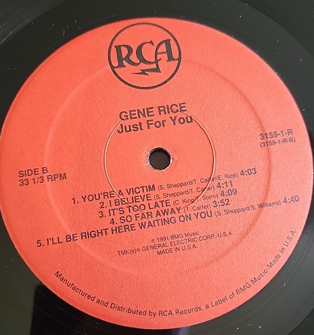 GENE RICE 「Just for you 」LP Gene Rice Just for You. Vinyl Record 1991 BMG Records | eBay