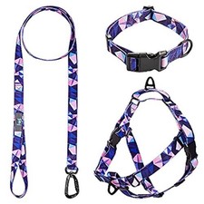 BESEWAY Harness, Leash & Collar Set for Dogs - No-Pull, Small, Blue