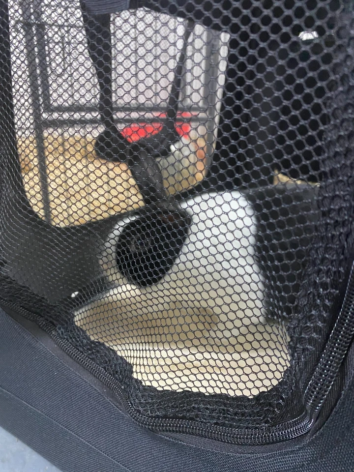 HugglePets Fabric Dog Crate Puppy Carrier - Cat Travel Cage Carry Pet Bag 4 Size - Image 4 of 4