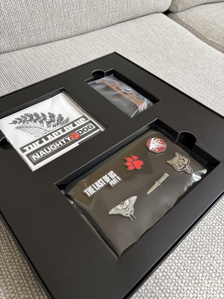 Figurine The Last Of Us The Last Of Us Part 2 - Édition Collector Steelbook Avec Mini Lithographie - PS4 Neuf Sous Blister Collector Ps5