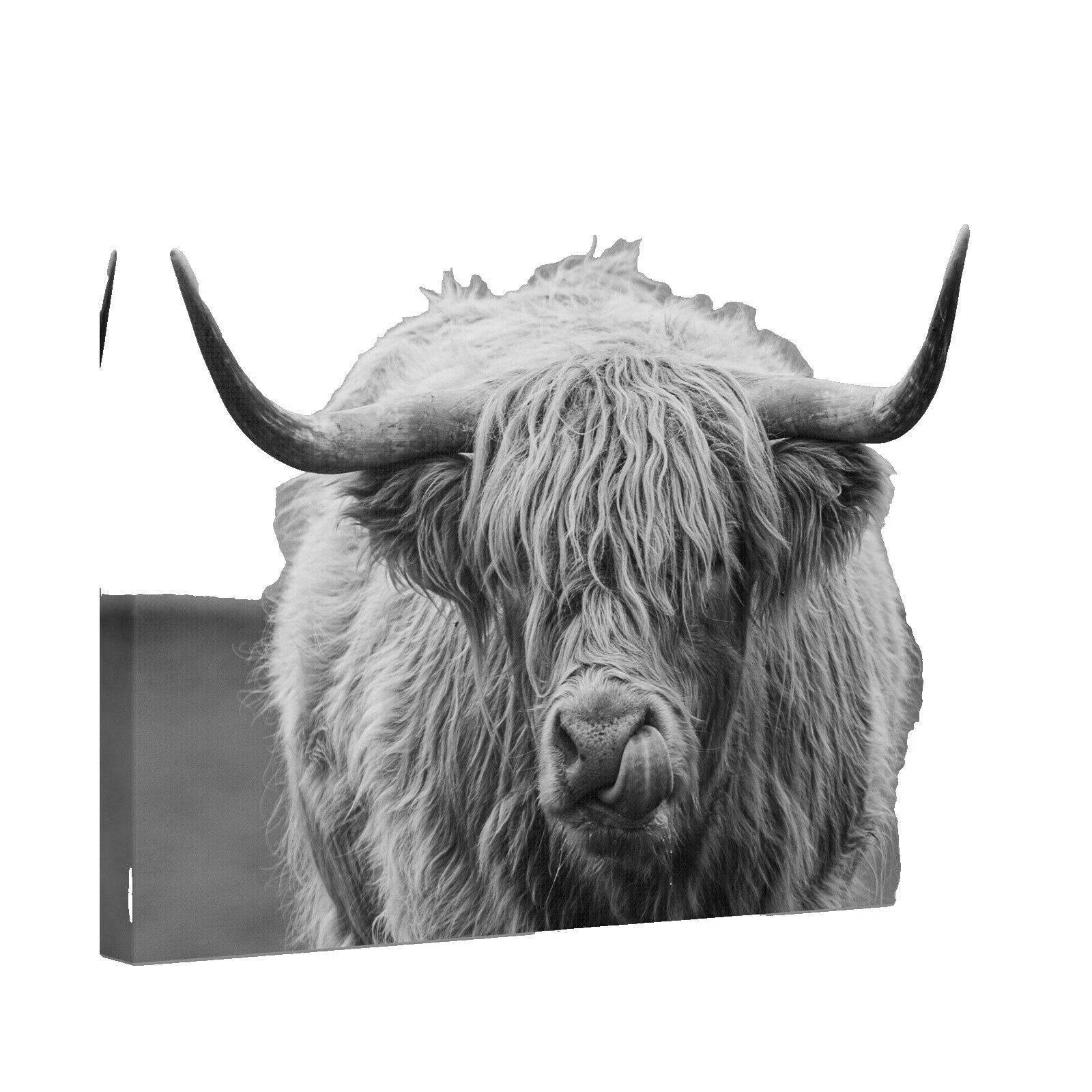 Оригинальная домашняя декорация постеры и печатная продукция Cow