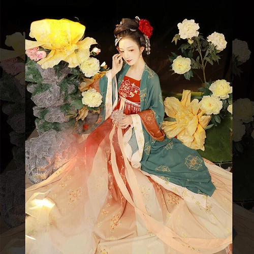 Women Chinese Traditional Hanfu Embroidery Dress Ancient Costumes Robe Clothes - Picture 20 of 27