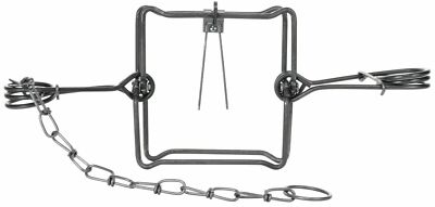 12 Bridger 5D X 5D #155 BodyGripper Body Grip Trap Trapping Supplies 12 Traps